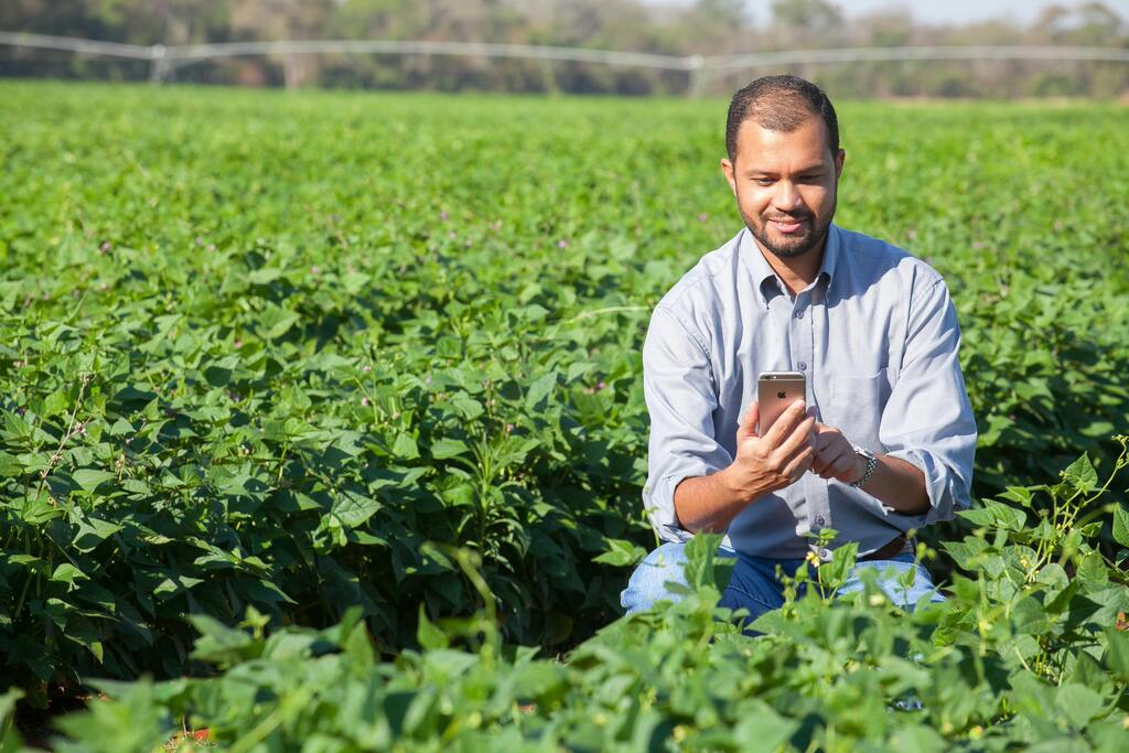Internet para área rural: entenda os principais desafios